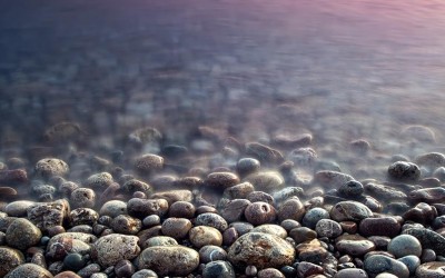 خلیج همیشه فارس